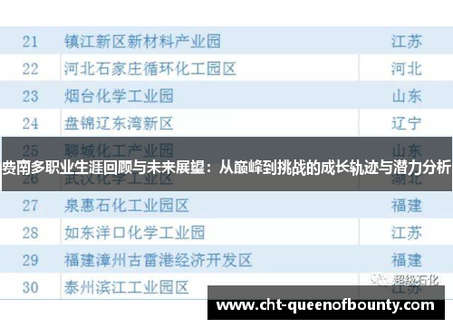 费南多职业生涯回顾与未来展望：从巅峰到挑战的成长轨迹与潜力分析