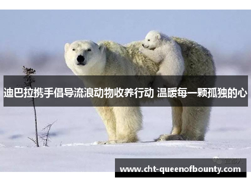 迪巴拉携手倡导流浪动物收养行动 温暖每一颗孤独的心 迪巴拉携手倡导流浪动物收养行动 温暖每一颗孤独的心